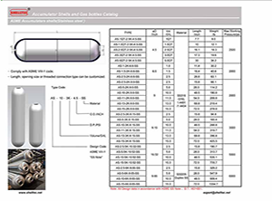 ASME SS shell